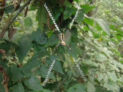 DSC07170