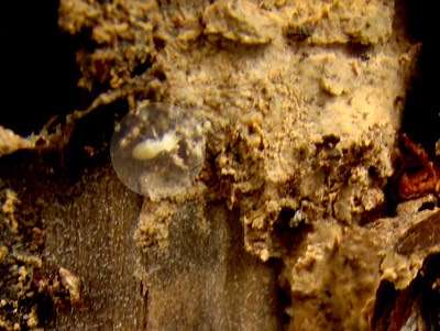 DSC07173