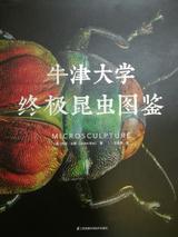 牛津大学终极昆虫图鉴 封面